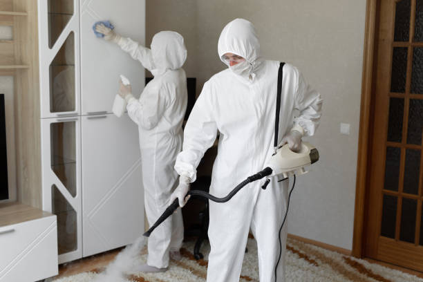 Best Post-Flood Mold Remediation in Stratford, CA